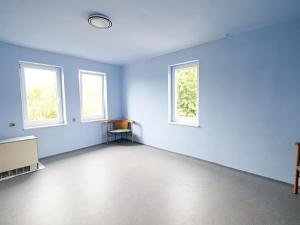 Prodej obchodního prostoru, Domažlice, Dukelská, 900 m2