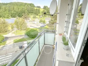 Prodej bytu 2+1, Jeseník, Bezručova, 55 m2