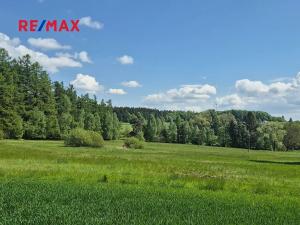 Prodej pozemku pro bydlení, Borová, 5776 m2