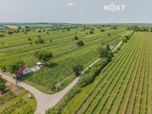 Prodej sadu/vinice, Prušánky, 2318 m2