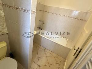Pronájem bytu 2+1, České Budějovice, Zeyerova, 59 m2