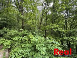Prodej chaty, Sentice, 51 m2