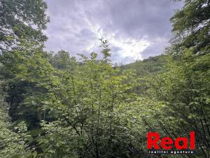 Prodej chaty, Sentice, 51 m2