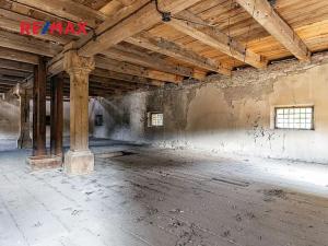 Prodej zemědělské usedlosti, Počedělice, 2500 m2