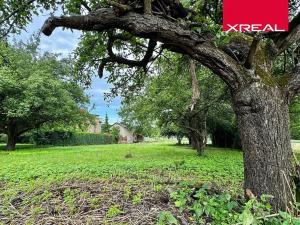 Prodej pozemku pro bydlení, Strančice, 1115 m2