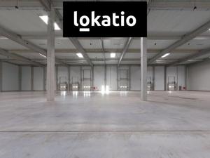 Pronájem skladu, Kozomín, 1155 m2