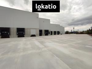 Pronájem skladu, Kozomín, 1155 m2