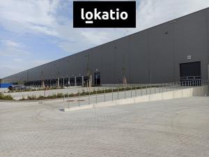 Pronájem skladu, Pardubice - Rosice, 14739 m2