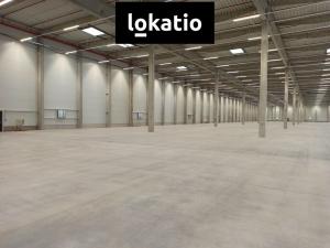 Pronájem skladu, Pardubice - Rosice, 14739 m2