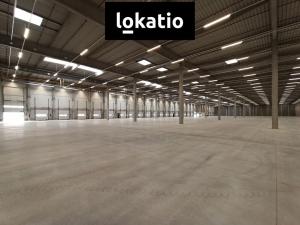 Pronájem skladu, Pardubice - Rosice, 14739 m2