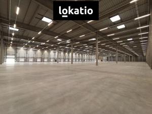 Pronájem skladu, Pardubice - Rosice, 14739 m2
