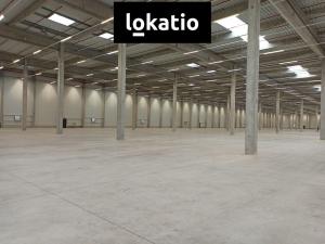 Pronájem skladu, Pardubice - Rosice, 14739 m2