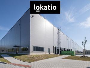 Pronájem skladu, Pardubice - Rosice, 14739 m2