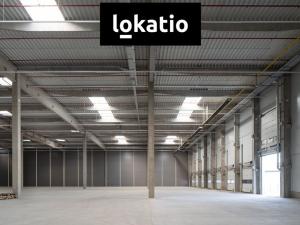Pronájem skladu, Pardubice - Rosice, 14739 m2