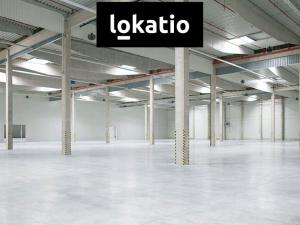 Pronájem skladu, Nýřany, 76600 m2