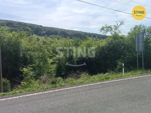 Prodej pozemku pro bydlení, Radějov, 3693 m2