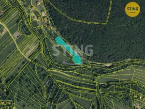 Prodej pozemku pro bydlení, Radějov, 3693 m2