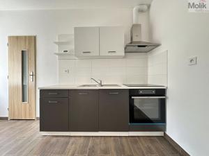 Pronájem bytu 1+1, Osek, Obránců míru, 36 m2