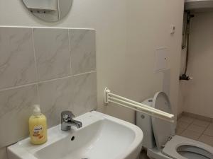 Pronájem bytu 3+1, Hradec Králové, Zemědělská, 90 m2