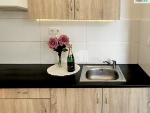 Pronájem bytu 1+kk, Praha - Ruzyně, Drnovská, 30 m2