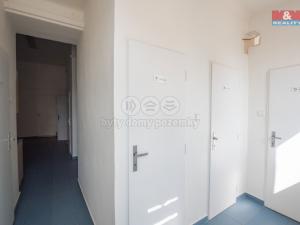 Pronájem kanceláře, Pardubice - Zelené Předměstí, 17. listopadu, 95 m2