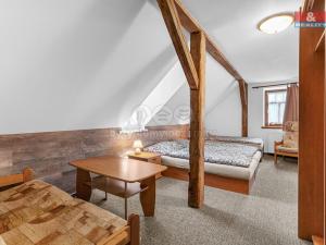 Prodej ubytování, Rokytnice nad Jizerou - Horní Rokytnice, 374 m2