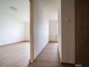Pronájem bytu 2+1, Frýdek-Místek - Frýdek, Mánesova, 52 m2