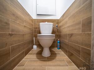 Pronájem bytu 2+1, Frýdek-Místek - Frýdek, Mánesova, 52 m2