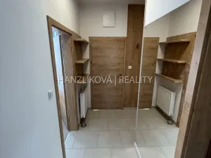 Pronájem bytu 2+kk, České Budějovice, 56 m2