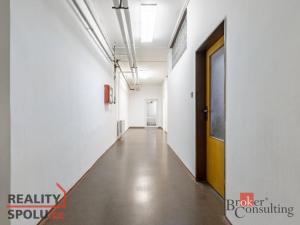 Pronájem skladu, Brno - Žabovřesky, Minská, 82 m2