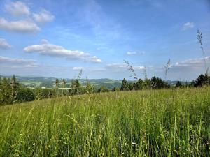 Prodej louky, Vlastiboř, 10451 m2