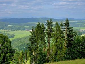 Prodej louky, Vlastiboř, 10451 m2