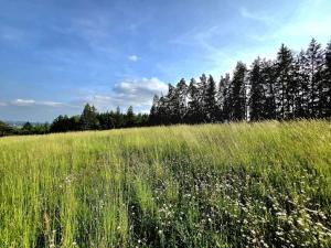 Prodej louky, Vlastiboř, 10451 m2