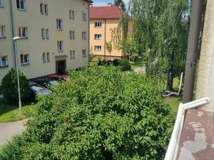 Prodej bytu 3+kk, Pardubice - Bílé Předměstí, Dašická, 72 m2