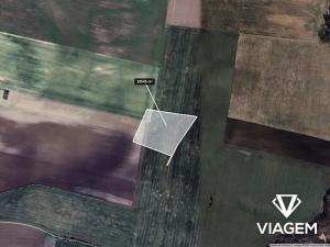 Prodej podílu pole, Jeviněves, 540 m2