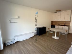 Pronájem bytu 1+kk, Ostrava - Slezská Ostrava, U Hájenky, 34 m2