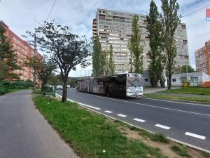 Pronájem bytu 2+1, Chomutov, Březenecká, 63 m2