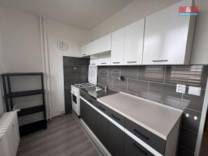 Pronájem bytu 1+1, Frýdek-Místek - Místek, Malý Koloredov, 36 m2