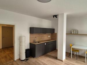 Pronájem bytu 1+kk, Brno - Brno-město, Kobližná, 35 m2