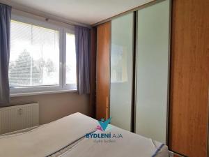 Pronájem bytu 3+1, Bílina, Sídliště Za Chlumem, 65 m2