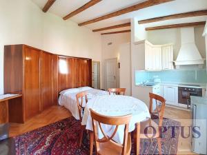 Pronájem bytu 1+kk, Praha - Vinohrady, Italská, 38 m2