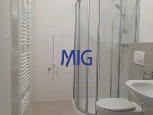 Pronájem bytu 1+kk, Syrovice, 37 m2