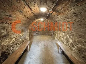 Pronájem obchodního prostoru, Klentnice, 15 m2