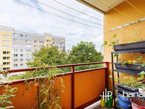 Prodej bytu 3+1, Olomouc, Lazecká, 62 m2