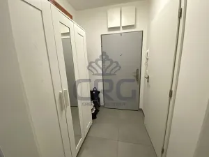 Pronájem bytu 1+kk, Slavkov u Brna, Zelnice II., 39 m2