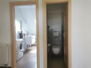 Pronájem bytu 4+kk, Hořice, Aloise Hlavatého, 146 m2