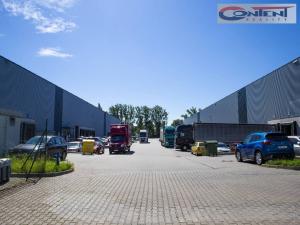 Pronájem skladu, Ostrava - Přívoz, Palackého, 609 m2