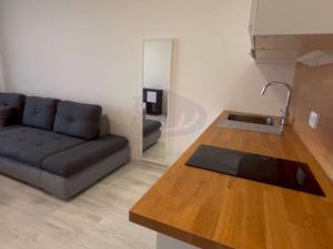 Pronájem bytu 1+kk, Praha - Třebonice, U Radosti, 32 m2