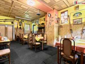 Prodej rodinného domu, Jáchymov, tř. Čs. armády, 380 m2