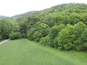 Dražba louky, Skorotice, 30636 m2
